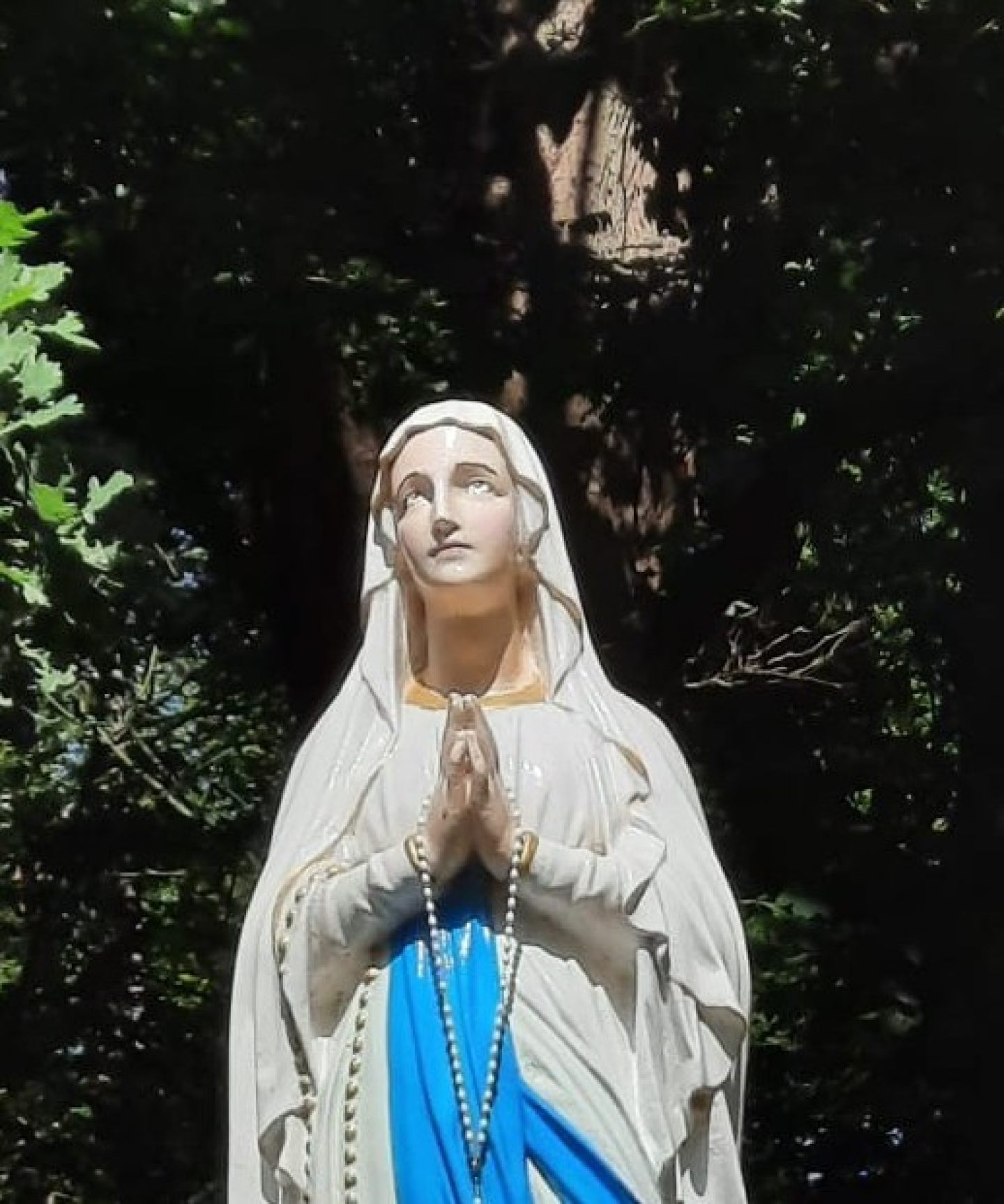 Maria H 3