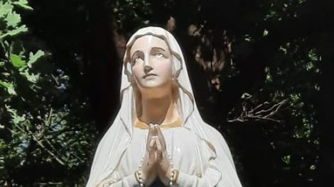 Maria H 3
