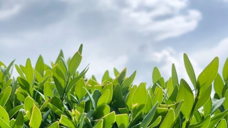 Photo by Anatoly Najmitenko