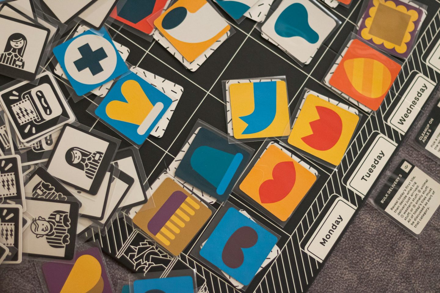 Photo by Parinaz Mirhosseini